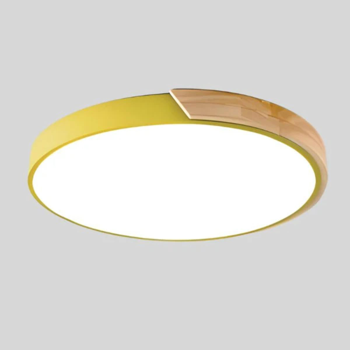 Modern Minimalist Circular Flush Mount Ceiling Lighting Fixture