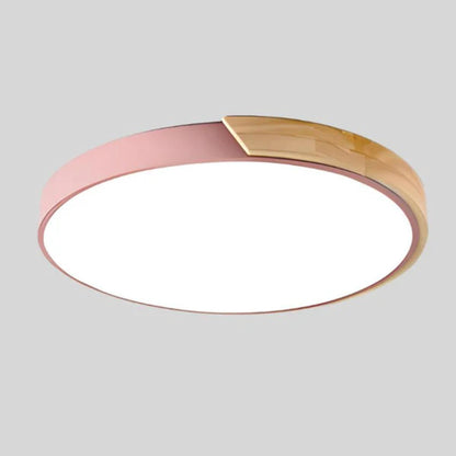 Modern Minimalist Circular Flush Mount Ceiling Lighting Fixture