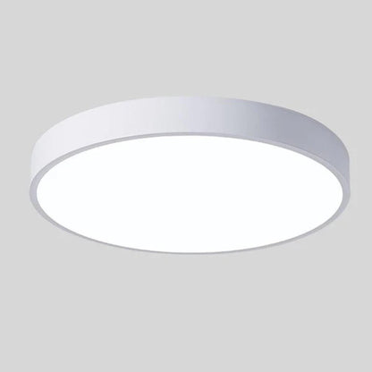 Modern Minimalist Circular Flush Mount Ceiling Lighting Fixture