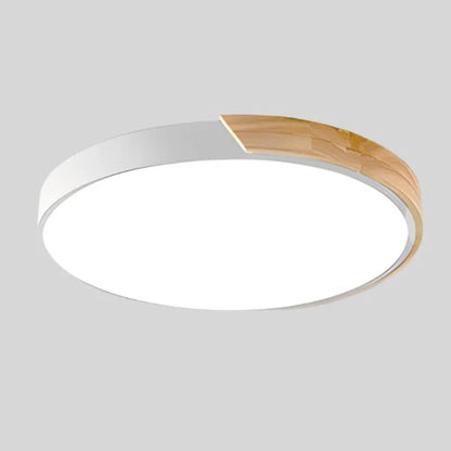 Modern Minimalist Circular Flush Mount Ceiling Lighting Fixture